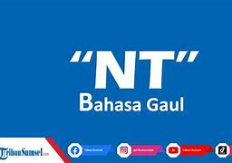 Slot Ata Adalah Bahasa Gaul Apa